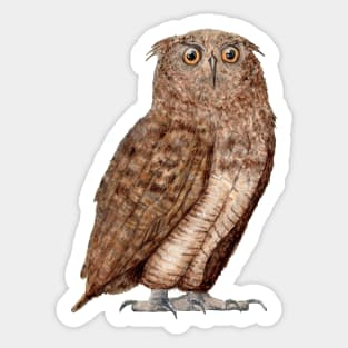 owl Sticker